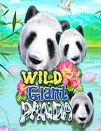 เดิมพันฟรี แจกยูสเซอร์สำหรับเล่สล็อต สนุกง่ายๆ ที่ Joker Gaming